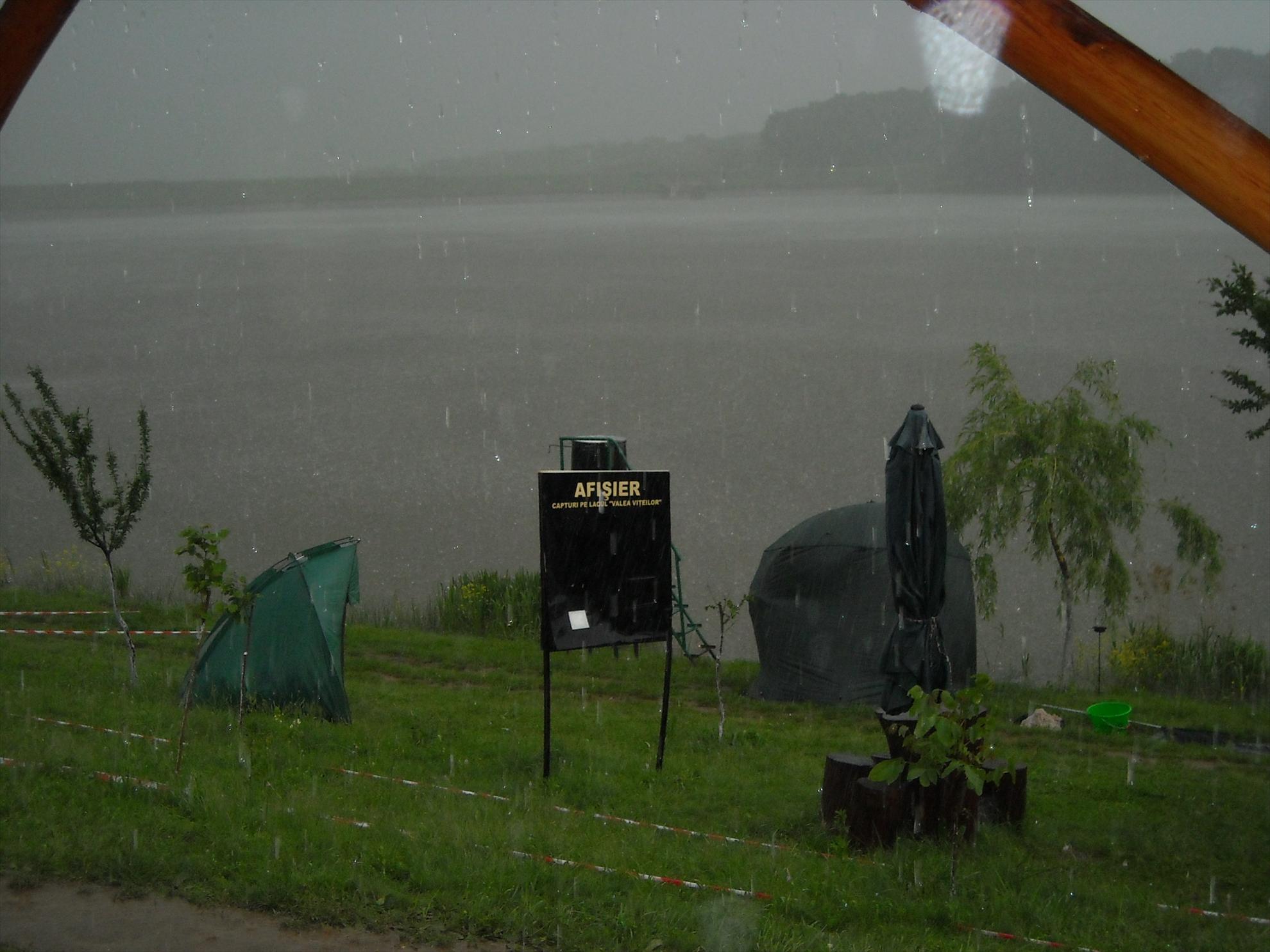 CN-2010-Cetariu - dscn3477.jpg